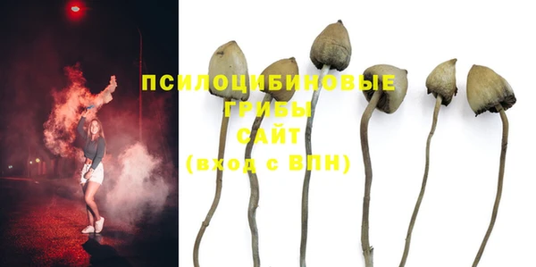 герыч Арсеньев