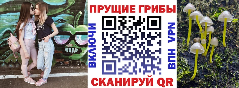 Псилоцибиновые грибы прущие грибы  Райчихинск 